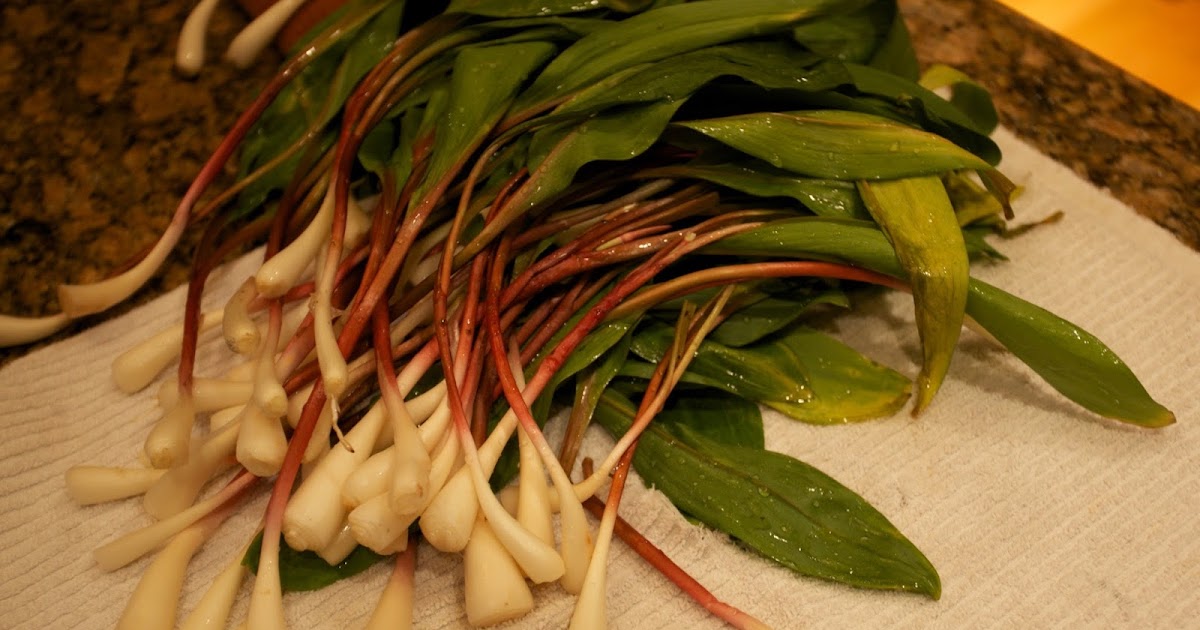 Wild ramps how to cook