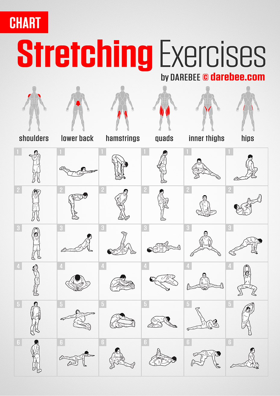stretching exercises with pictures and instructions pdf