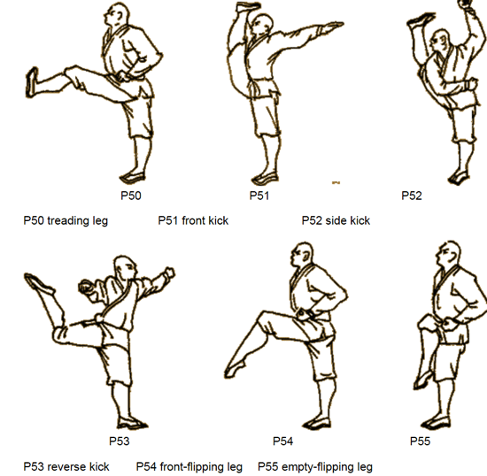 Kung fu training exercises pdf