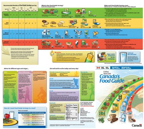 Canadian food guide eating plan